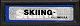 U.S. Ski Team Skiing Label (Intellivision Inc.)