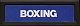 Boxing Label (Mattel Electronics)