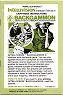 ABPA Backgammon Manual (Mattel Electronics 1119-0920-G1)